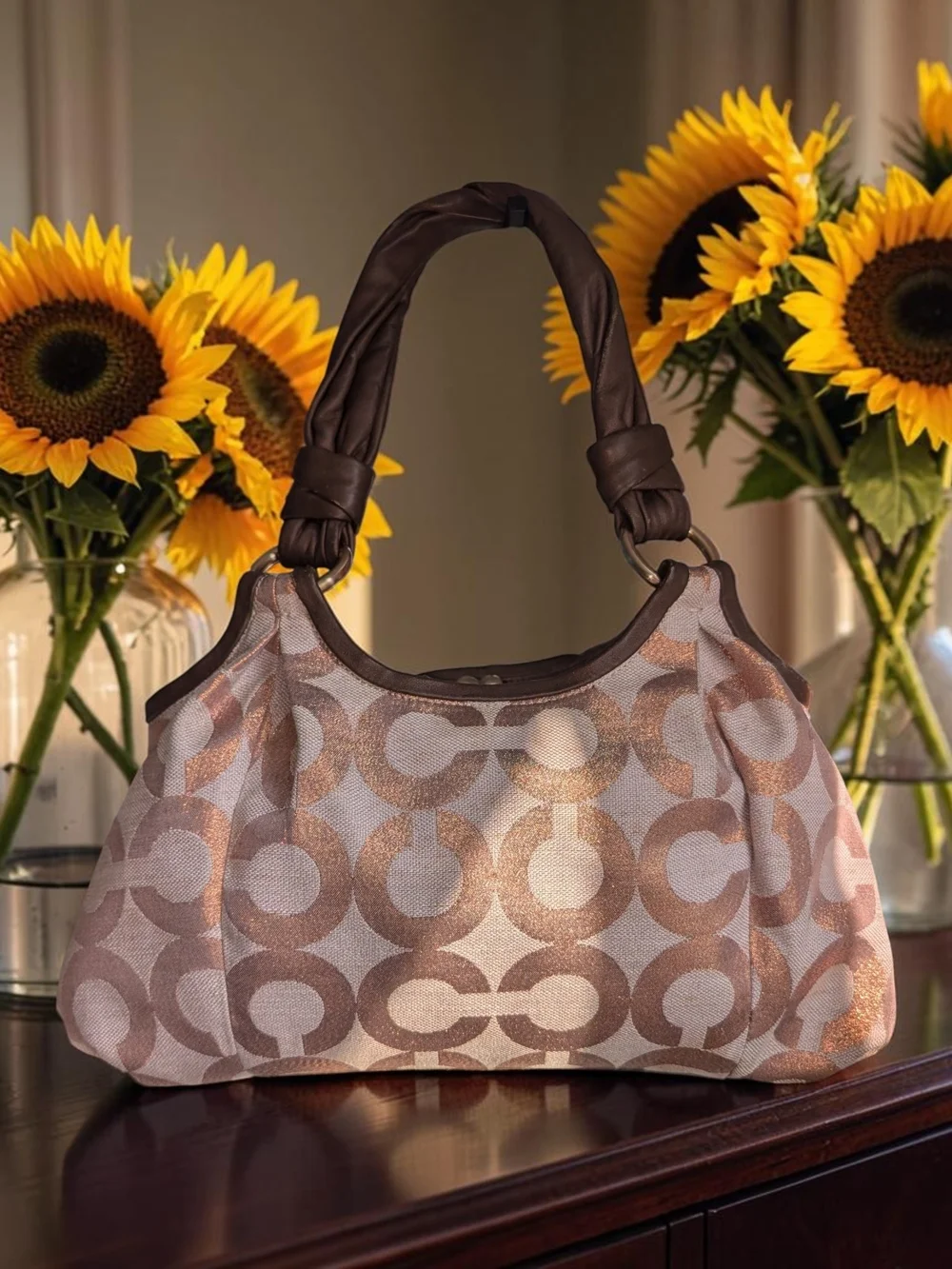 Coach Parker Rare Iridescent Copper Kisslock Hobo & Wristlet (B0993-13509)